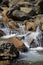 Waterfall at Graveyard Fields in NC