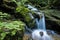 Waterfall in Great Smoky Mountains