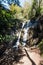 Waterfall in green California forest of Big Sur