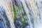 Waterfall with green ferns plants behind the water