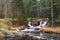 Waterfall green forest river stream landscape