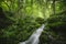 Waterfall in green jungle with moss on cliffs