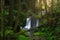 Waterfall with a green path in Alishan National Scenic Area