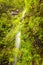 Waterfall and greenish forest landscape, Madeira