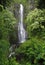 Waterfall (Hawaii)
