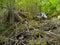 Waterfall HÃ¶llbachgspreng, wooded rock massif