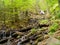 Waterfall HÃ¶llbachgspreng, wooded rock massif