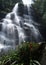 Waterfall in Itatiaia