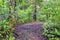 Waterfall Jaco Costa Rica, Trail views, Catarastas Valle Encantado - Hidden waterfall surrounded by green trees in the jungle.