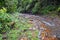 Waterfall Jaco Costa Rica, Trail views, Catarastas Valle Encantado - Hidden waterfall surrounded by green trees in the jungle.