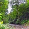 Waterfall Jaco Costa Rica, Trail views, Catarastas Valle Encantado - Hidden waterfall surrounded by green trees in the jungle.