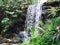 Waterfall in Jungle