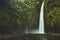 Waterfall in the jungle. Green landscape. Bali.