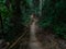 Waterfall jungle trekking into the unknown - Laos