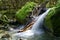 Waterfall in Kahurangi National Park, New Zealand