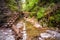 Waterfall with ladder in canyon, sucha bela in Slovak Paradise, Slovensky Raj National Park, Slovakia.