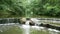 Waterfall on the lake in the forest. Large stones and shallow rain in the open air