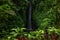 Waterfall landscape. Beautiful hidden Leke Leke waterfall in Bali. Waterfall in tropical rainforest. Focus on foreground with