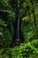 Waterfall landscape. Beautiful hidden Leke Leke waterfall in Bali. Waterfall in tropical rainforest. Slow shutter speed, motion