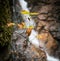 Waterfall Leaves