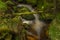 Waterfall on Lesni creek in Sumava national park in spring day