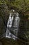 Waterfall - Lick Brook Canyon - Sweedler Park - Ithaca, New York