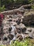 Waterfall at Loro Parque Tenerife Canary Islands