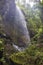 Waterfall at Los Tilos Rain Forest. La Palma. Canary Islands.