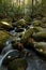 Waterfall in lush autumn woods