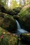 Waterfall in lush autumn woods