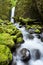 Waterfall in lush rainforest, Columbia River Gorge, Orego