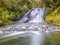 waterfall in a lush rainforest of Te Urewera