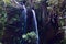 A waterfall at Lyrebird Dell in the Blue Mountains