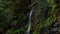 a waterfall on madeira island video