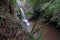 Waterfall, Maui Hawaii