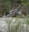 Waterfall into Maury River at Goshen Pass