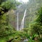 A waterfall in the middle of a very beautiful forest has clear water and towers high and has a fairly large pool