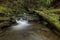 A waterfall in the midst of a magical wild nature, rocks covered with moss and forest around.