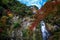 Waterfall at Minoh Park Osaka Japan when autumn season