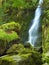 Waterfall and Moss Covered Rocks Olympic National Forest