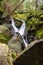 Waterfall and mossy rocks in Sugarloaf State Park, Sonoma Valley, California