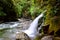 Waterfall at Mount Richmond Forest Park