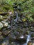 Waterfall Mount Washinton area via Ammonoosuc ravine trail