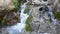 Waterfall in mountain in the Alp. View of alpine green meadows with waterfall.