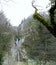 Waterfall in a mountain forest in early spring