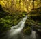 Waterfall on mountain river with moss on rocks