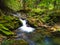 Waterfall on mountain river with moss on rocks