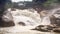 Waterfall of Mountain River Stormy Stream Among Rocks