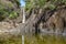 Waterfall, mountain spring water, stream between rocks and stones, brook, creek. Khlong Phlu, Thailand