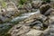 Waterfall on a Mountain Trout Stream